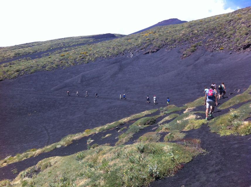 From Catania: Mount Etna Half-Day Tour and Wine Experience - What makes the guides matter so much (and how to choose your moment)