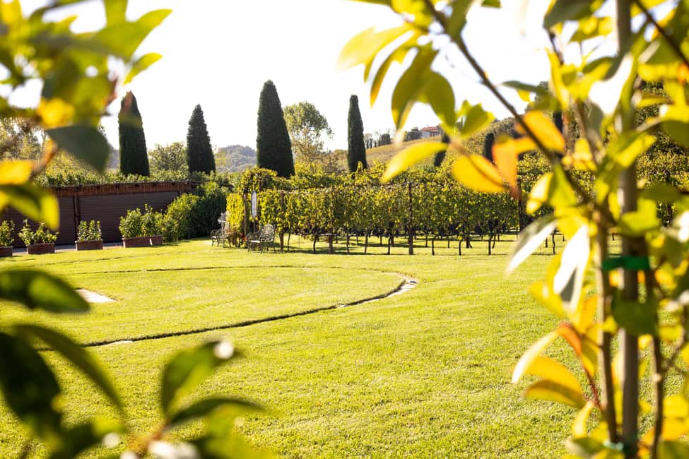 From Florence: Chianti Half-Day Afternoon Tour - Poggio ai Laghi stop: a real cellar tour plus oils, balsamic, salami, and 4 wines