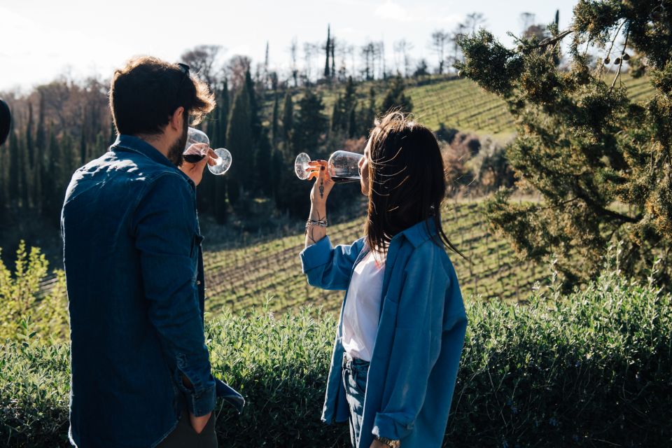 From Florence: Chianti Hills Half-Day Tour with Wine Tasting - Key things I’d circle in your planning