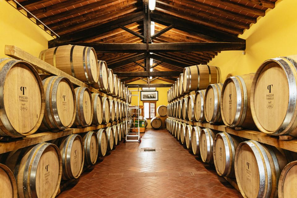 From Florence: Chianti Wine and Food Tasting Safari - Wine Tasting in Chianti: 8 Wines, Pairings, and How to Taste
