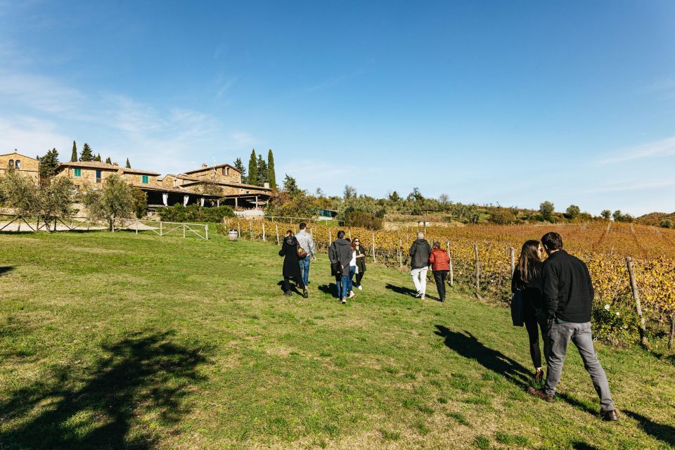 From Florence: Chianti Wine and Food Tasting Safari - What the Tour Actually Includes (and What It Means for Your Day)