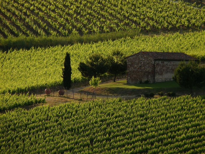 From Florence: Chianti Wine Tastings at Sunset Day Trip - Key points worth planning around