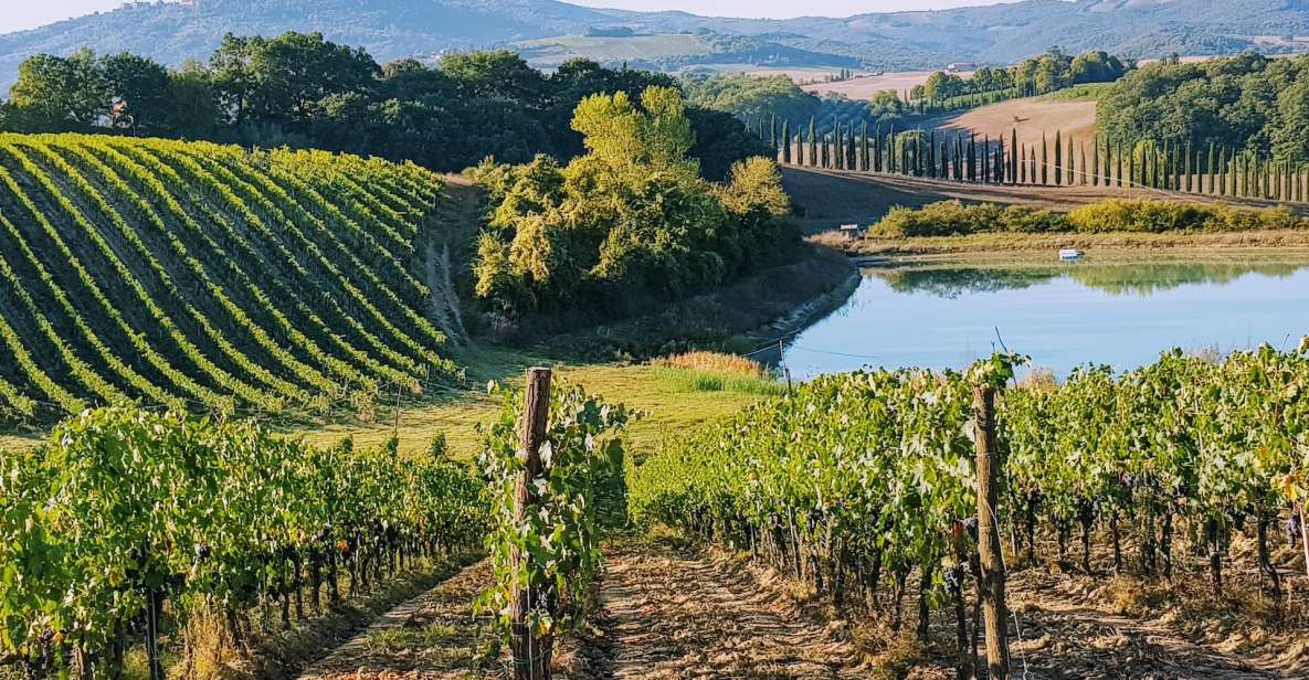 From Florence: Chianti Wine Tastings at Sunset Day Trip - Why Chianti at sunset feels different from a normal day trip
