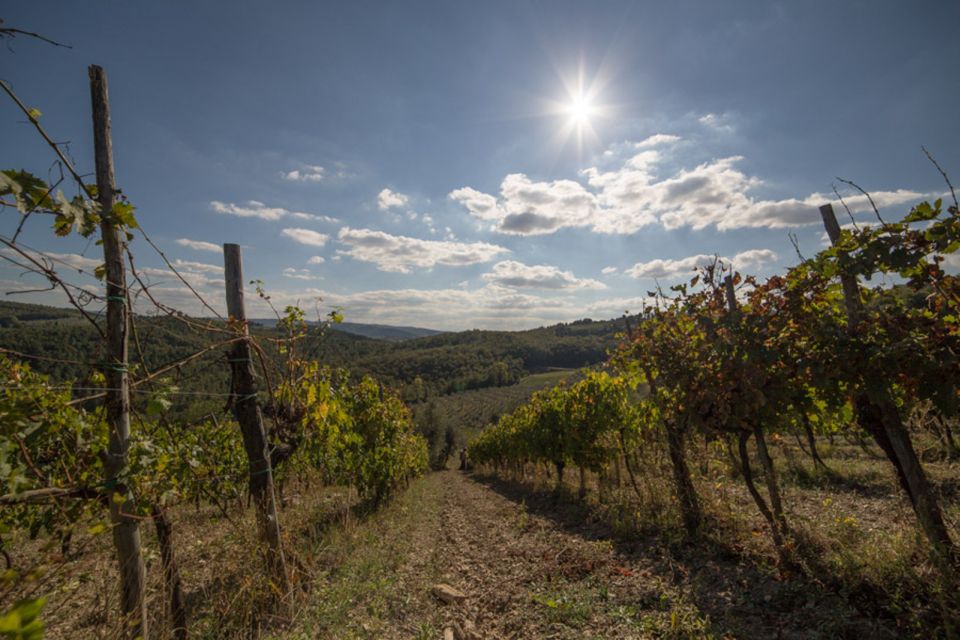 From Florence: Chianti Wine Tastings at Sunset Day Trip - Greve in Chianti: the quick stop that sets the mood