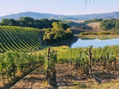 From Florence: Chianti Wine Tastings at Sunset Day Trip - Meeting in Florence and the comfortable ride out