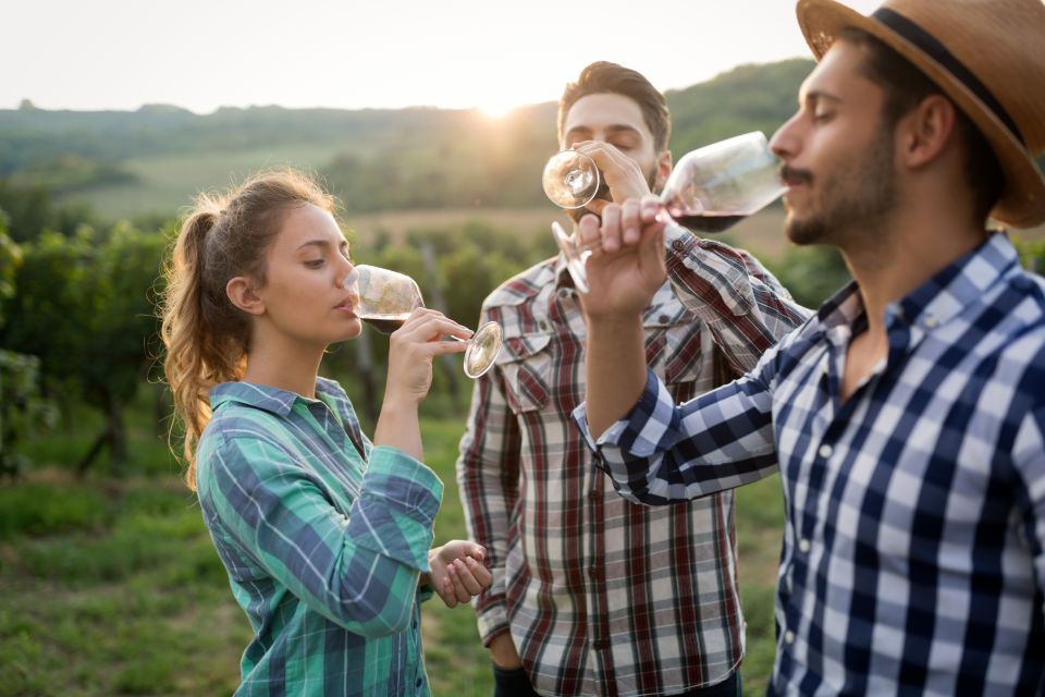 From Florence: Chianti Wine Tour with Tasting - Who should skip it