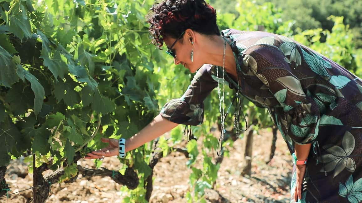 From Florence: Chianti Wine Tour with Tastings - Stop One: An Organic Winery in Florentine Chianti Classico