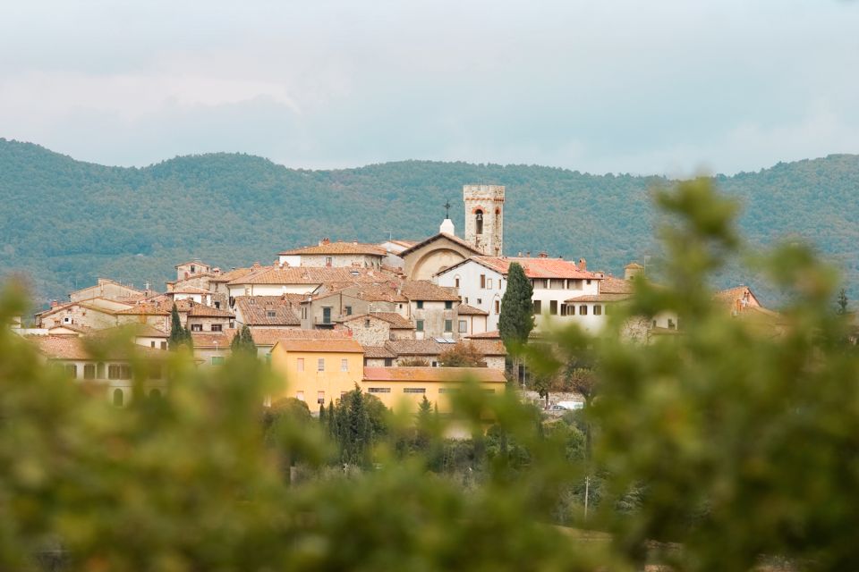 From Florence: Private Chianti Hills Tour with Tasting - Buying wine and pantry goods without ruining your trip