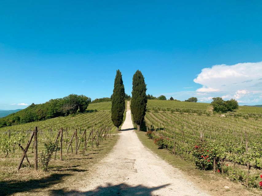 From Florence: Private Chianti Hills Tour with Tasting - Transport time and comfort: the hidden value in a 6-hour plan