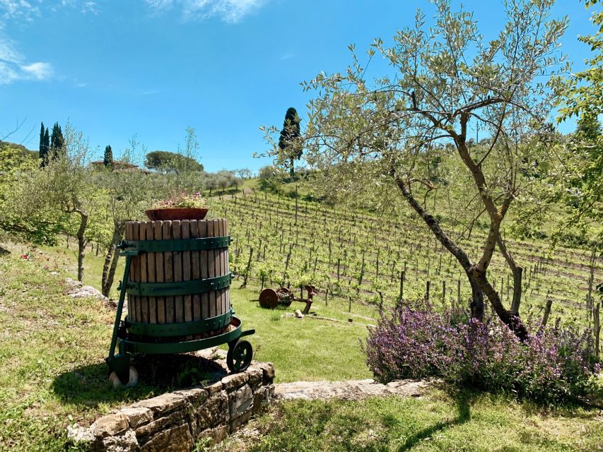 From Florence: Private Chianti Hills Tour with Tasting - Price and who this private tour fits best