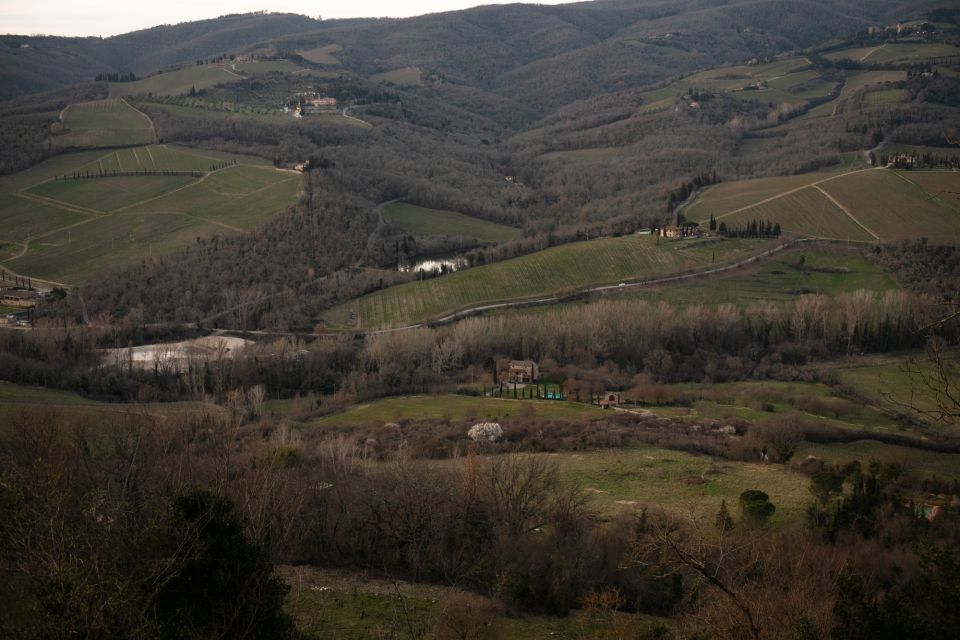 From Florence: Private Chianti Hills Tour with Tasting - The Radda wine-shop tasting: easy entry to Chianti flavors