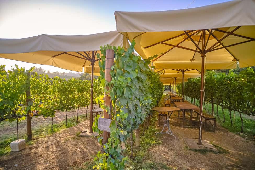 From Florence: Siena and Chianti Day Trip with Dinner - Price and Value: What $80.55 Covers (and What It Doesn’t)
