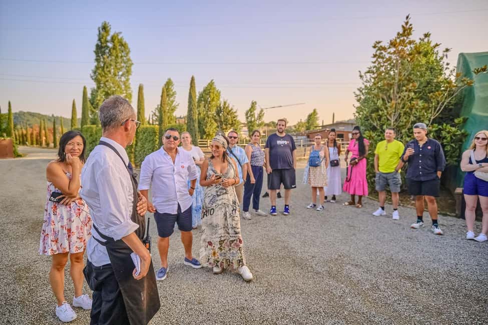 From Florence: Siena and Chianti Day Trip with Dinner - Who This Tour Fits Best (and Who Might Want a Different Plan)