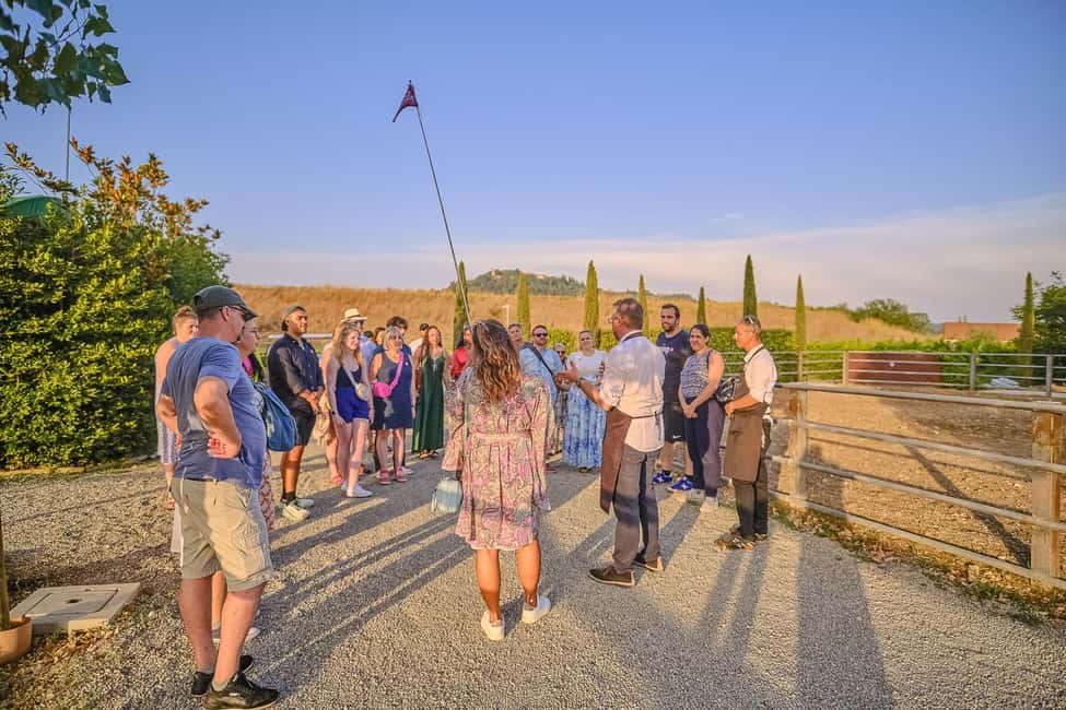 From Florence: Siena and Chianti Day Trip with Dinner - Should You Book This Siena and Chianti Day Trip With Dinner?