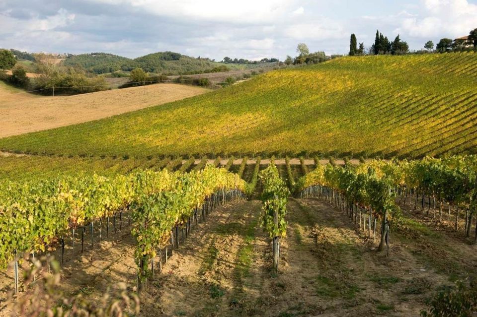 From Florence: Siena & San Gimignano Tour with Wine & Lunch - Pacing and walking: why the day can feel packed (and how to handle it)