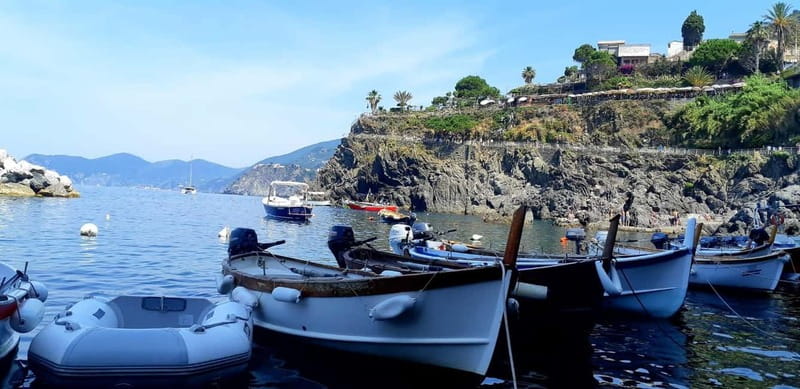From Florence: Small-group to Cinque Terre and Pisa Day Tour - Riomaggiore: Steep Streets, Definite Viewpoints, and Water Time