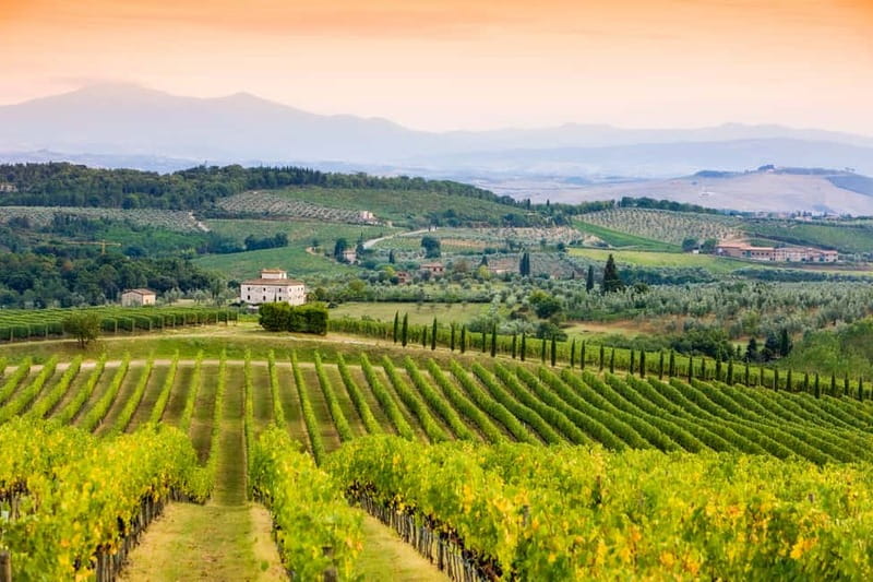 From Florence: Tuscany Wine & Food Tour with Guide - Winery Stop 2: Hilltop Estate, Expert Notes, and Lunch Pairing
