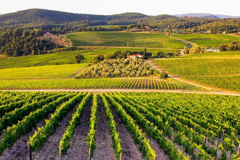 From Florence: Tuscany Wine & Food Tour with Guide - Pace and Comfort: 8 Hours, Air-Conditioned Transport, and a Small-Group Advantage