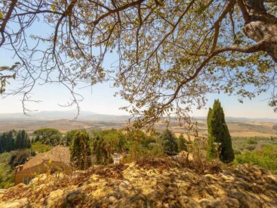 From Florence: Val D'Orcia Tour with Wine Tasting - Entering the UNESCO zone: Val d’Orcia scenery on the drive out