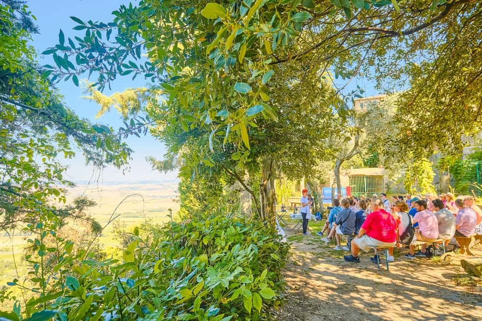 From Florence: Val D'Orcia Tour with Wine Tasting - The guide and driver make or break the day (and this one gets praised)