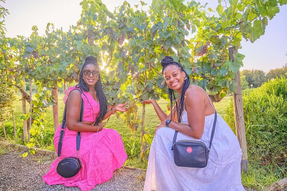 From Florence: Wine Tasting and Dinner in Chianti Vineyards - Price and value: what $141 buys you in Chianti