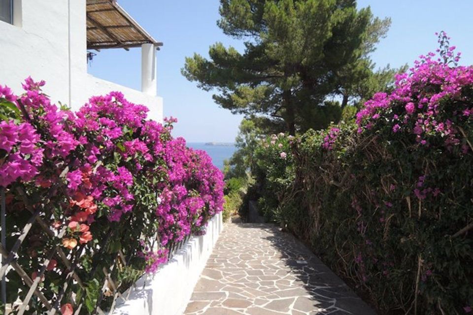 From Lipari: Panarea and Stromboli Cruise with Stops - The Stars and the Ride Back to Lipari