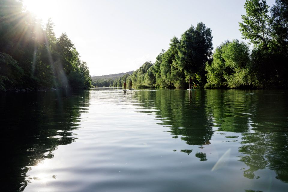 From Lucca to Pisa: Self-Guided Bike Tour - Key highlights
