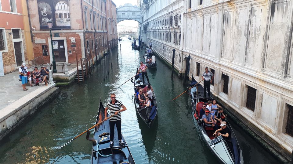 From Milan: Venice City Highlights Guided Day Trip - Key things to know before you go