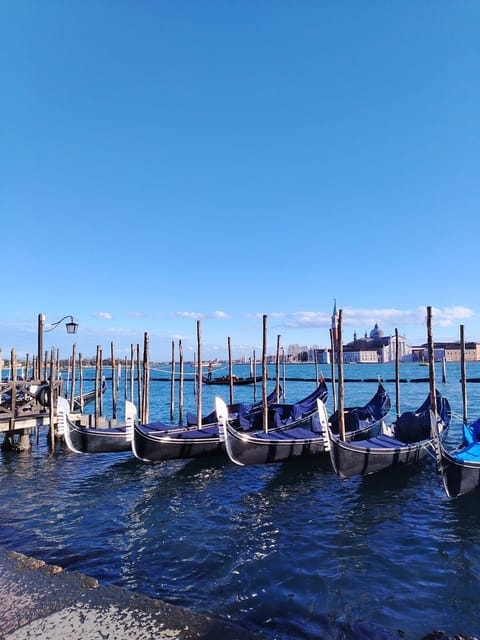 From Milan: Venice City Highlights Guided Day Trip - Coach to San Marco: why the bus + boat combo is the smart move