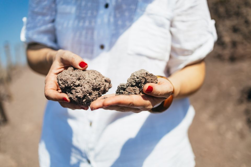 From Naples: All-Inclusive Mount Vesuvius Half-Day Tour - Who should book this Vesuvius half-day tour