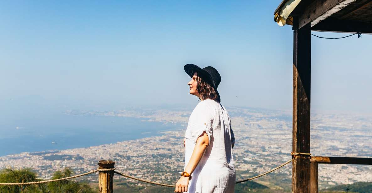 From Naples: All-Inclusive Mount Vesuvius Half-Day Tour - Vesuvius in 3.5 Hours: what this half-day trip really gives you