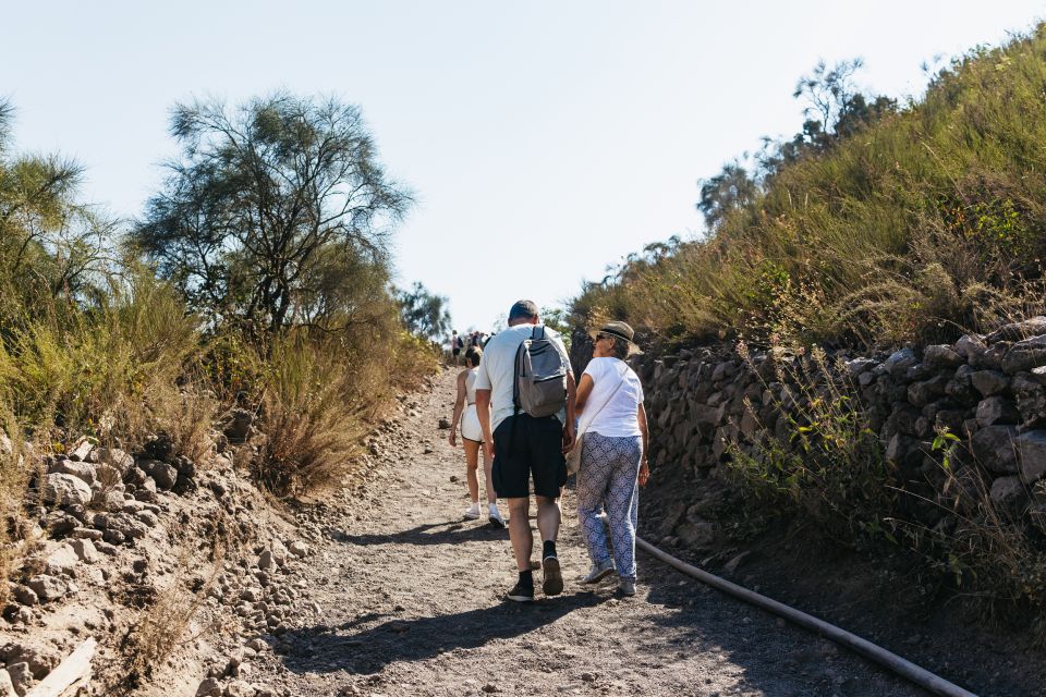 From Naples: All-Inclusive Mount Vesuvius Half-Day Tour - Crater views over the Bay of Naples: how to maximize your panorama time