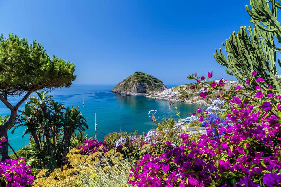 From Naples: Amalfi Coast Day Trip with Sorrento & Positano - The Sorrento-Limoncello Combo: 80 Minutes to Get Your Bearings