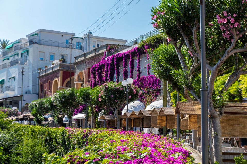 From Naples: Capri, Anacapri, and Blue Grotto Full-Day Trip - Anacapri on Foot: Town Strolls, Shopping Time, and Mount Solaro Optionality
