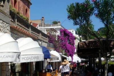 From Naples: Capri and Anacapri Small Group Tour + Ferry - Capri Town Time: Piazzetta and How to Spend Your Free Minutes