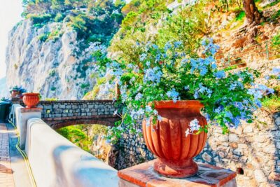 From Naples: Capri and Blue Grotto Day Tour - Marina Grande Arrival and the Blue Grotto Boat Plan