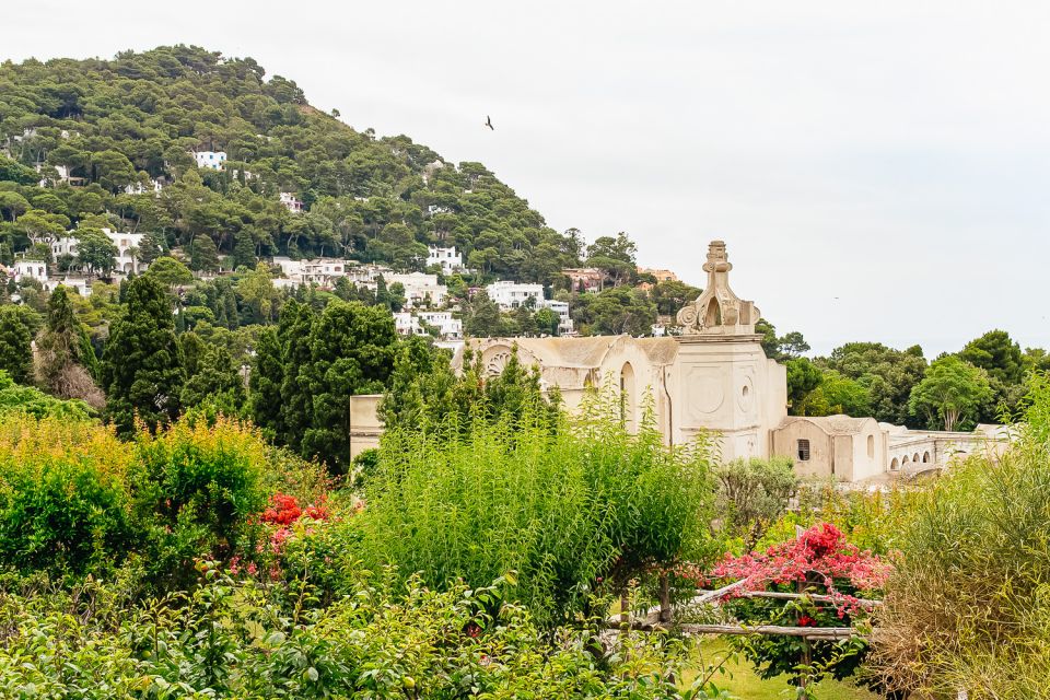 From Naples: Capri and Blue Grotto Day Tour - Mamma Mia Road: Capri Panoramas Without the Wrong Turns