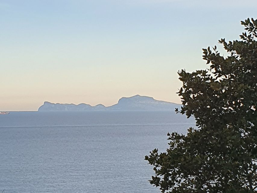 From Naples: Capri Day Trip with Lunch - Anacapri hour: how to use your time without rushing
