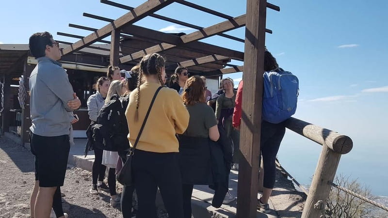 From Naples: Day Trip to Mount Vesuvius - Key highlights to look for
