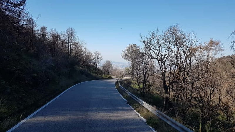 From Naples: Day Trip to Mount Vesuvius - The Pompeii and Herculaneum story makes more sense here
