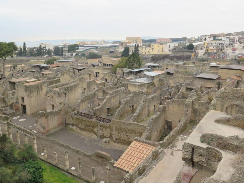 From Naples: Herculaneum, Mount Vesuvius & Pompeii Day Trip - Who this Naples day trip is best for