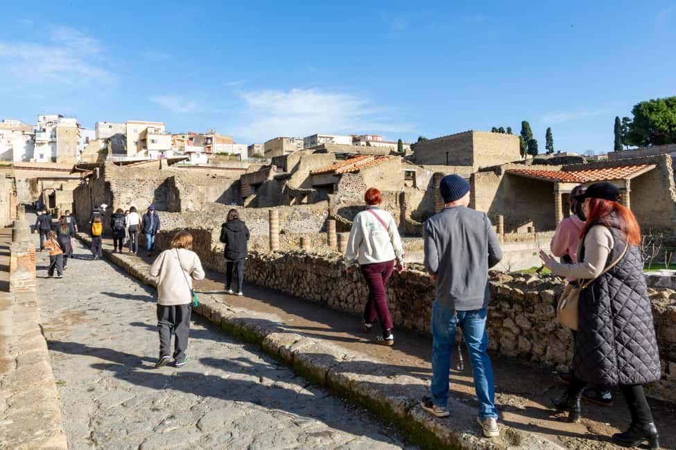 From Naples: Herculaneum Skip-the-Line Guided Tour - Key points before you go
