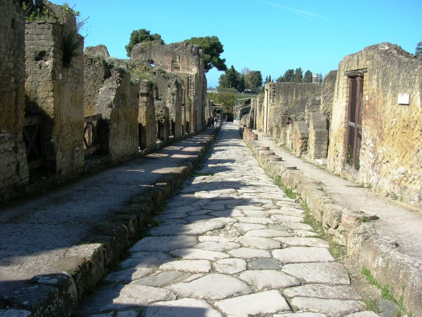 From Naples: Herculaneum Skip-the-Line Guided Tour - Who this tour is best for (and who it isn’t)