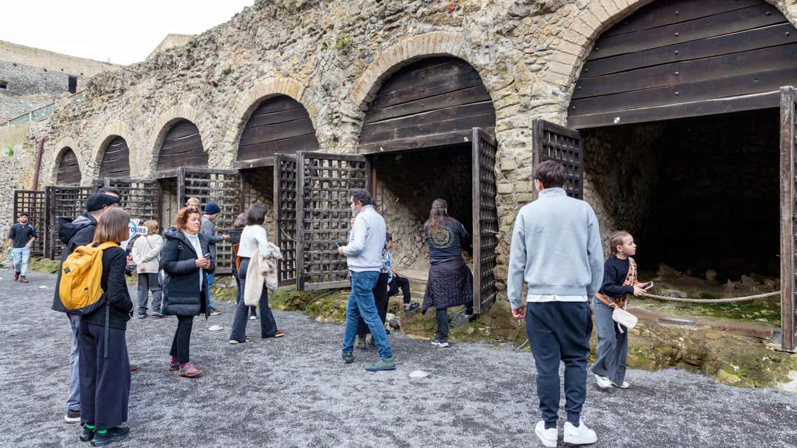 From Naples: Herculaneum Skip-the-Line Guided Tour - Price and what you’re really buying for $63