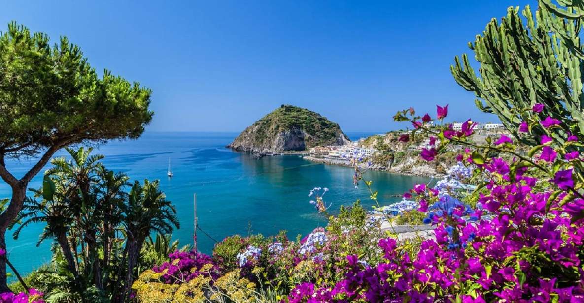 From Naples: Ischia Day Trip with Ferry Tickets and Lunch - Key Highlights That Make This Day Trip Work