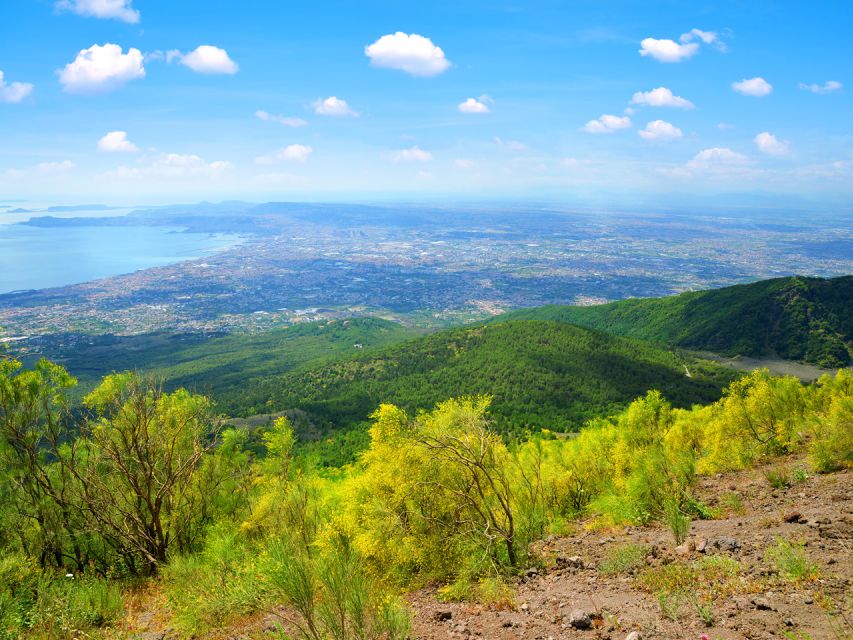 From Naples: Mount Vesuvius and Pompeii Ruins Combo Day Trip - From Via Galileo Ferraris: the coach ride that makes this combo work