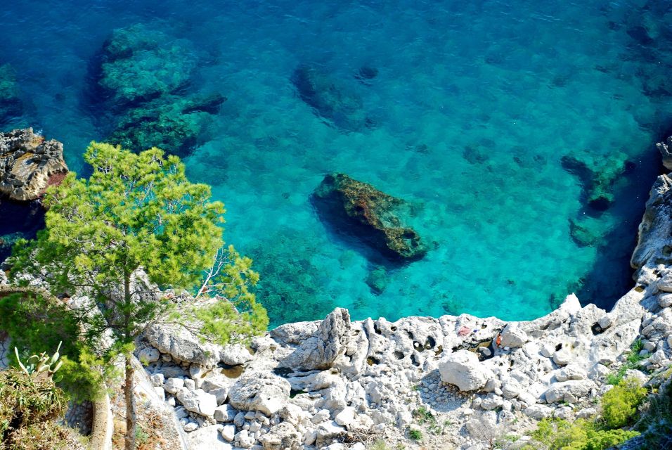 From Naples: Pompeii and Amalfi Coast Full-Day Private Tour - Price and value: what you’re paying for (and when it’s worth it)