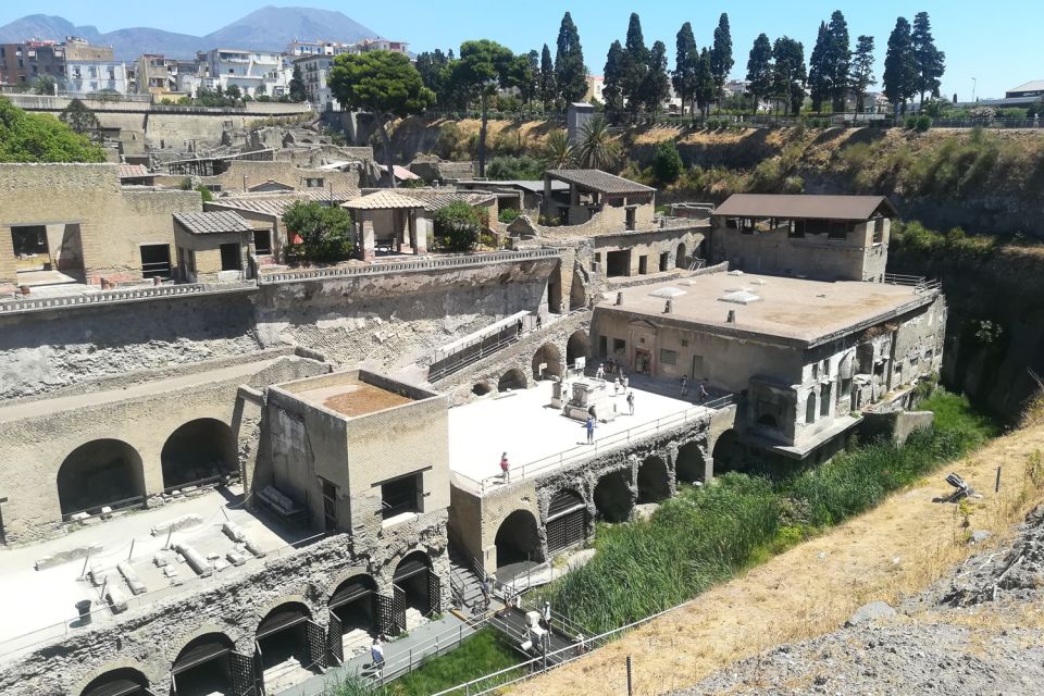 From Naples: Pompeii and Herculaneum Tour with Lunch - Price and Value: Is $113.29 a Smart Deal?