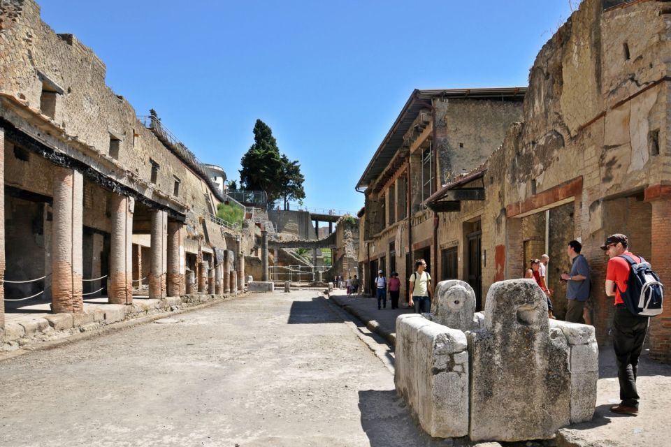 From Naples: Pompeii and Herculaneum Tour with Lunch - Pickup in Naples: Meeting Points, Timing, and What to Expect