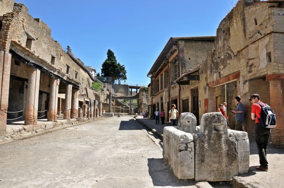 From Naples: Pompeii and Herculaneum VIP Tour with Lunch - Lunch near Pompeii: included, timed, and worth planning around
